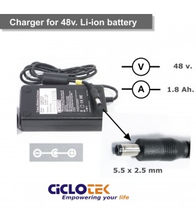Cargador para batería de litio de 48 . Tipo  FT