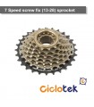 8 speed threaded pinion, 13-32