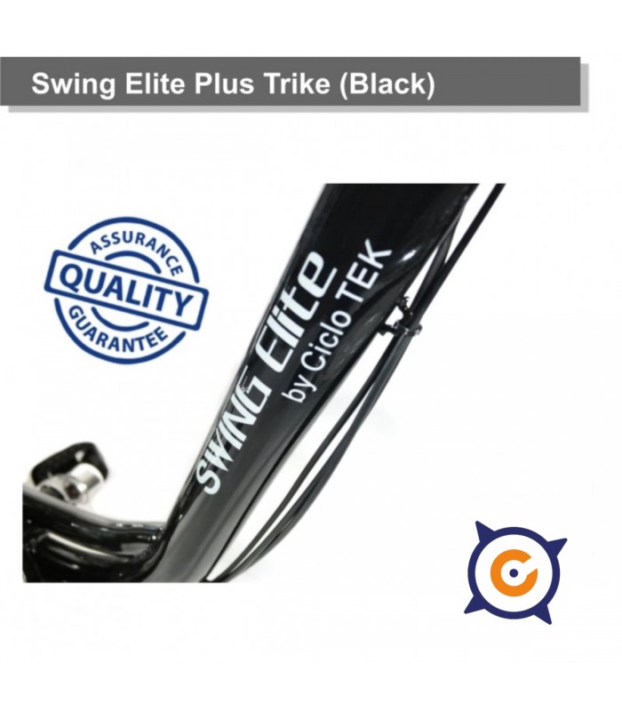 Bicicleta CicloTEK Queen Platinim LCD 5
