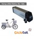 Swing 36v. 10 Ah. battery