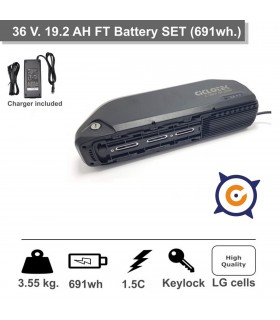 Set Batería FT 36v 19.2 Ah.