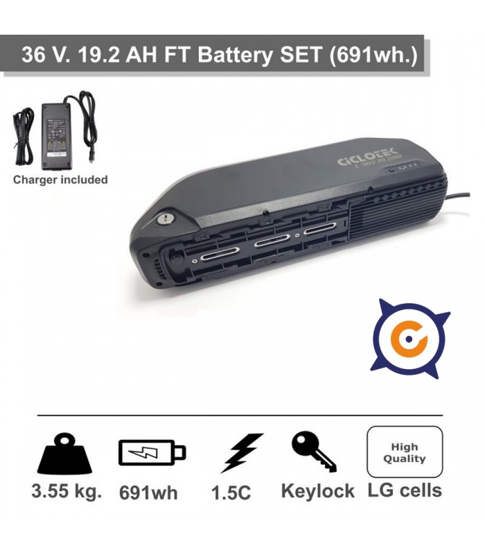 FT 36v. 9.21 Ah. EBIKE battery set