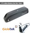 FT 36v. 16 Ah. battery set