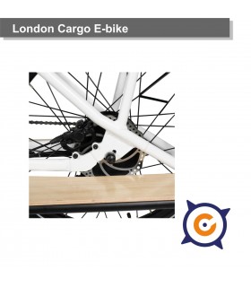 Tokyo foldable electric bike