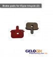 copy of Caliper and brake pad assembly X1