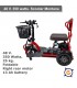 Scooter CicloTEK Montana 48 V, 350 watts