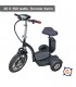 Scooter CicloTEK Astro